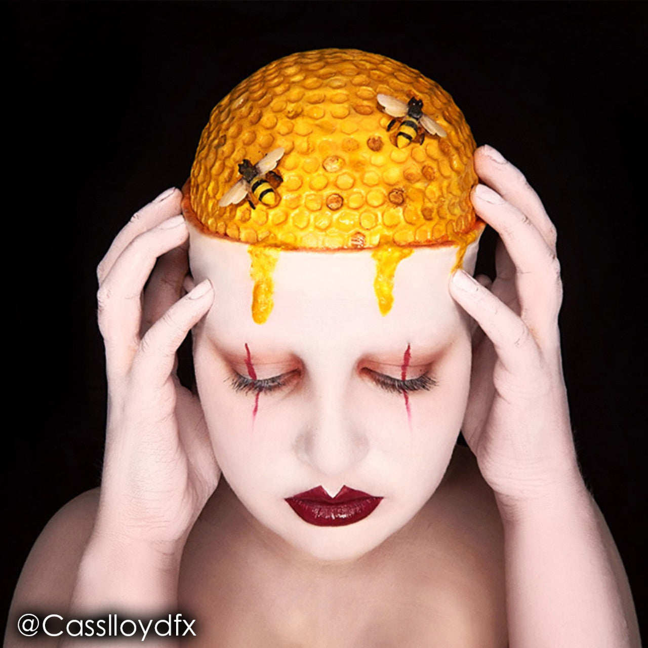 Mehron - Paradise AQ