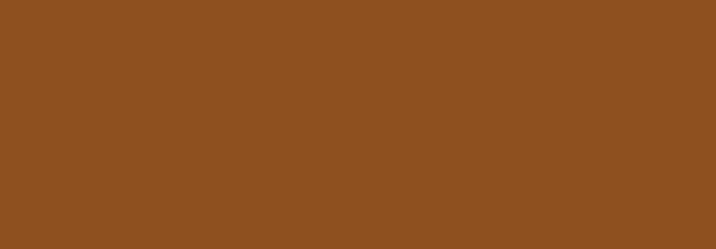 NBQ Pro Paint Spray