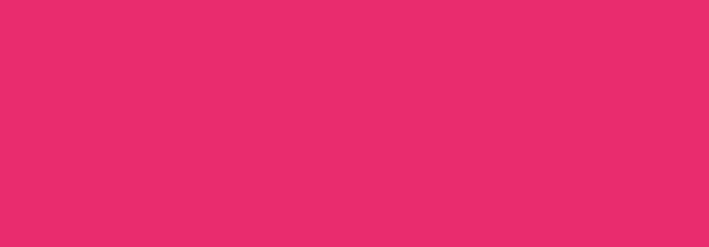 NBQ Pro Paint Spray