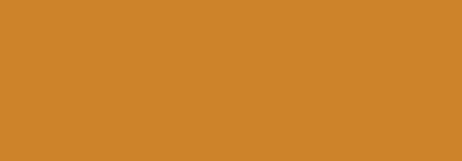 NBQ Pro Paint Spray
