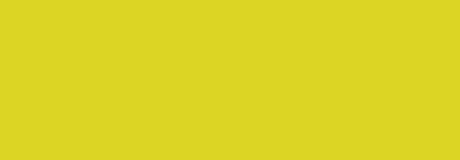 NBQ Pro Paint Spray
