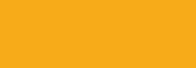 NBQ Pro Paint Spray