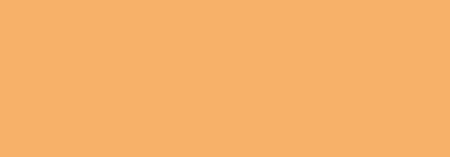 NBQ Pro Paint Spray