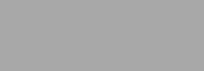 NBQ Pro Paint Spray